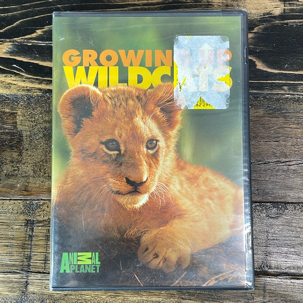 Growing Up Wildcats DVD NEW in plastic